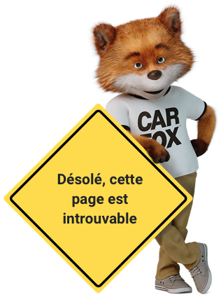 CAR FOX appuyé contre un panneau d'avertissement avec 'Désolé, nous ne pouvons pas trouver cette page' écrit dessus.